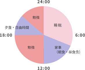 一日のスケジュールの円グラフ（休日）