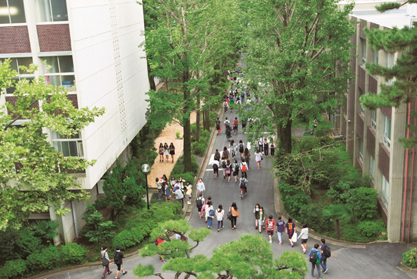 総合大学のキャンパスでスクーリング